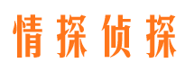 松溪私家侦探